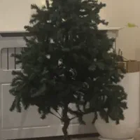 درخت کریسمس‌