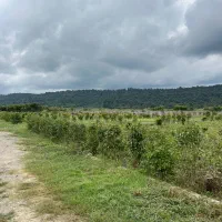 زمین-150-متر-سرمایه-گذاری-قیمت-مناسب