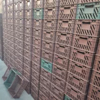 سبد 7کیلویی|ظروف نگهدارنده، پلاستیکی، یک‌بارمصرف|کرمانشاه, |دیوار