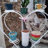 استند و گلدان سرامیک و گیاه زاموفیلیا