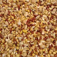 آجیل گردو بادام میوه خشک پسته  تخمه