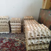 تخم‌مرغ گلپایگانی محلی|خوردنی و آشامیدنی|رباط‌کریم, |دیوار