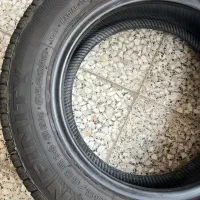 ۴ حلقه لاستیک سایز ۱۴ بارز ۲۰۵ گلدستون ۱۸۵