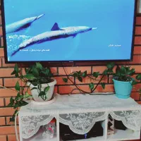 تلویزیون ال ای دی|تلویزیون و پروژکتور|تهران, شمیران‌نو|دیوار