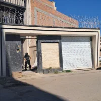 حفاظ شاخ گوزنی|خدمات پیشه و مهارت|گنبد کاووس, |دیوار