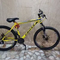 دوچرخه کراس کوهستان