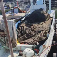 تشت و جل ماهی پرسه