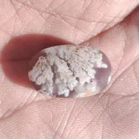 انگشتر|جواهرات|نورآباد, |دیوار