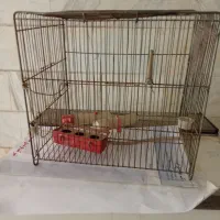 قفس پرنده