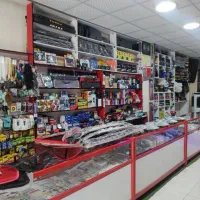تزئینات لایک اسپرت