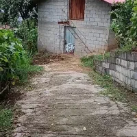 بام رامسر