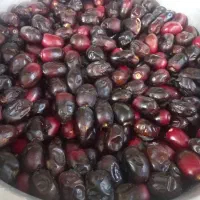 فروش رطب تازه مضافتی