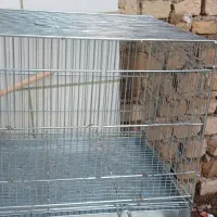 قفس حرفه ای