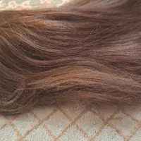 کلاه گیس|آرایشی، بهداشتی، درمانی|رشت, یخسازی|دیوار