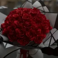 انواع گل و باکس