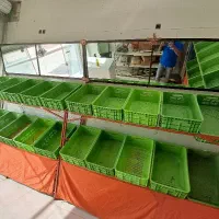 تعدادی قفسه میوه فروشی ب فروش میرسد