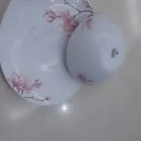 غذا خوری ۶ نفره پارس اوپال