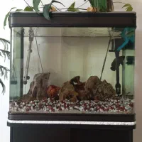 فروش آکواریوم ومیز درحدنو