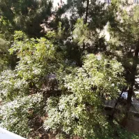 اجاره آپارتمان ۶۷ متری شهرک دنا (الغدیر)