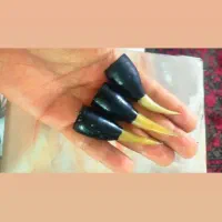 خروس لاری