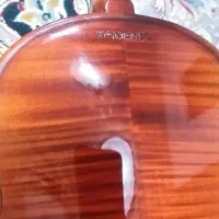 ویولن فونیکس|ویولن|لاهیجان, کوی زمانی|دیوار