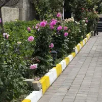 ویلا باغ بزرگ استخردار