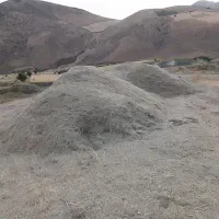 علف خرمن کوبی