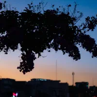 عکاسی حرفه‌ای پرتره، طبیعت، خیابانی و صنعتی