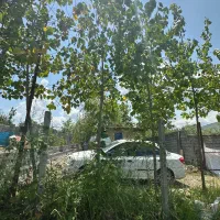 زمین مسکونی