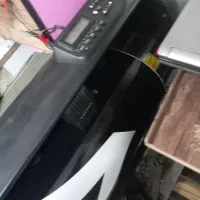 شبرنگ روز رنگ برچسب کاترپلاتر