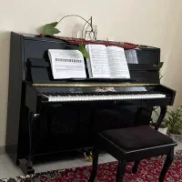 پیانو آکوستیک فوق العاده pearl river (مدل کمیاب)