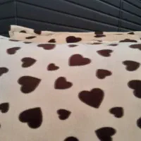 ۶ عدد روبالشی مخمل درحدنو|رختخواب، بالش، پتو|مشهد, شهرک صنعتی توس|دیوار