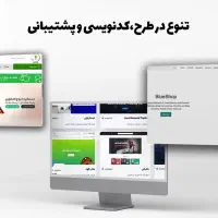 طراحی سایت ویژه با سئو و تبلیغات گوگل|خدمات رایانه‌ای و موبایل|شیراز, ارم|دیوار