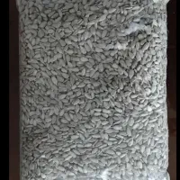 مژده مژده مغز خام و تازه آفتاب گردون شارژشد|خوردنی و آشامیدنی|سبزوار, قاضی زاد|دیوار