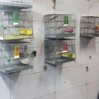 سهره امساله