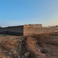 دامداری و باغ پسته