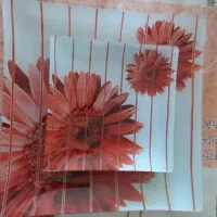 تعدادی ظروفهای شیک و مناسب