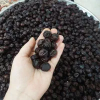 آلوچه سیاه