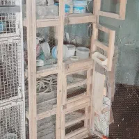 قفس جفت کن|لوازم جانبی حیوانات|میبد, |دیوار