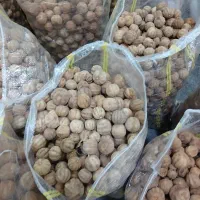 لیمو عمانی عمده