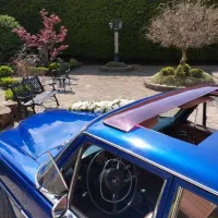 اجاره ماشین عروس بنز کلاسیک|خدمات پذیرایی، مراسم|رشت, جهاد|دیوار