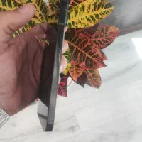 14promx(256g)zaa|موبایل|اصفهان, سروستان|دیوار