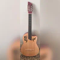 گیتار solo tf80