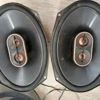 ضبط و باند اصل