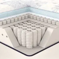 رویال ریلکس فنرپاکتی انتخاب عالی رباطمیلی خ داوران