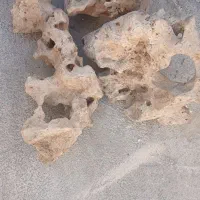 سنگ داخل آکواریوم