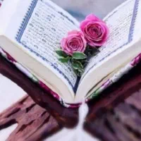تاروت قهوه استخاره سرکتاب آموزش داده میشود|فعالیت داوطلبانه|تهران, آشتیانی|دیوار