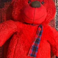 خرس قرمز ولنتاینی