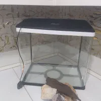 آکواریوم آماده درحد نو