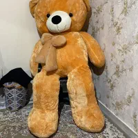 ۲ عدد خرس بزرگ شاسخین